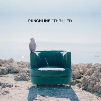 Thrilled by Punchline