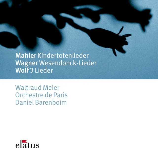 Mahler, Wagner & Wolf : Orchestral Songs (Elatus)