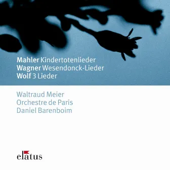 Mahler, Wagner & Wolf : Orchestral Songs (Elatus) by Waltraud Meier