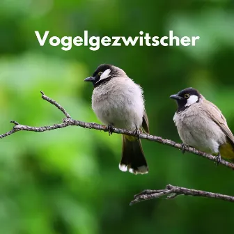 Vogelgezwitscher by Regen Vögel