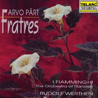 Arvo Pärt: Fratres by Rudolf Werthen