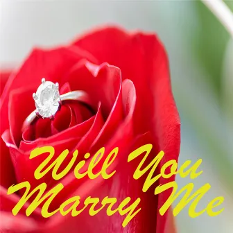 Will You Marry Me by Mr. Washington