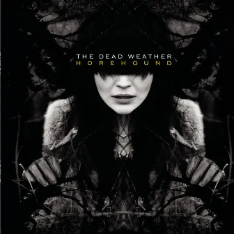 Horehound by The Dead Weather