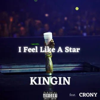 I Feel Like a Star by Kingin