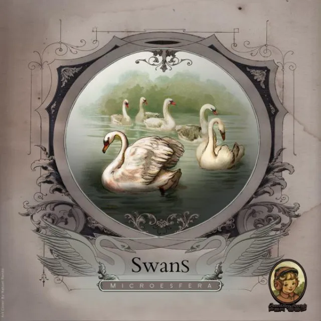 Swans - Original Mix