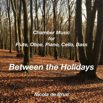 Between the Holidays (Chamber Music for Flute, Oboe, Piano, Cello, Bass) by Nicola de Brun