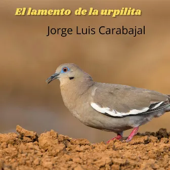 El lamento de la urpilita (En Vivo) by Jorge Luis Carabajal