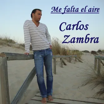 Me falta el aire by Carlos Zambra