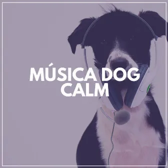 Música Dog Calm by Música de Cachorro Calmante