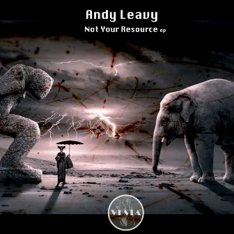 Not Your Resource by Andy Leavy