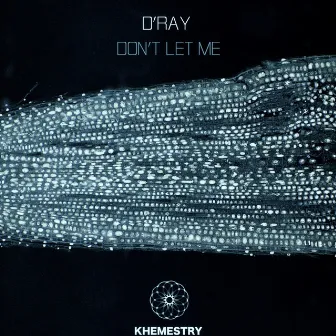 Don't Let Me by D'ray