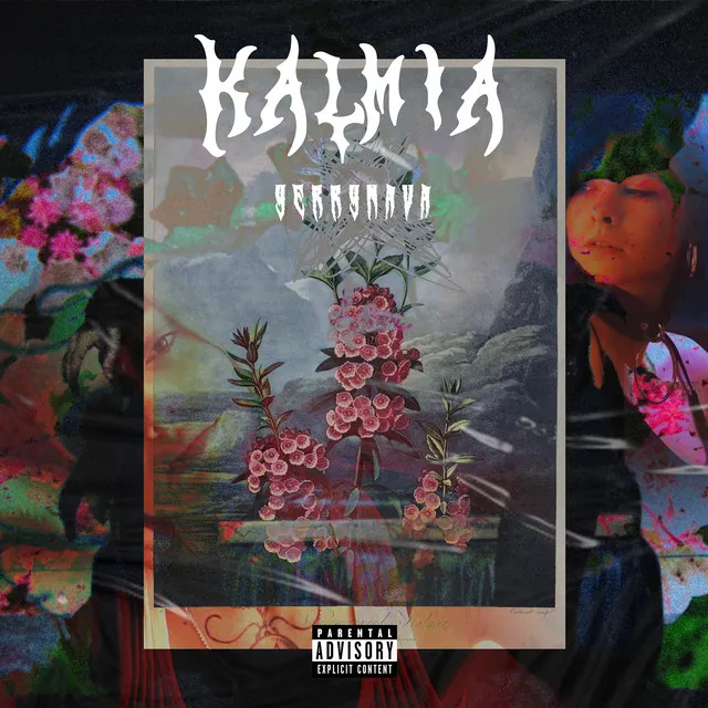 Kalmia