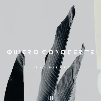 Quiero Conocerte by Jeampierre