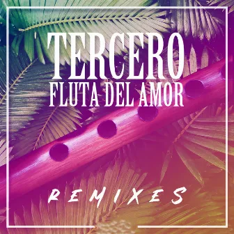 Fluta del Amor (Remixes) by Tercero