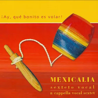 ¡Ay, Qué Bonito Es Volar! by Mexicalia