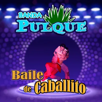 Baile De Caballito (Banda) by Banda Pulque