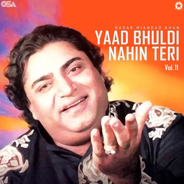 Yaad Bhuldi Nahin Teri, Vol. 11