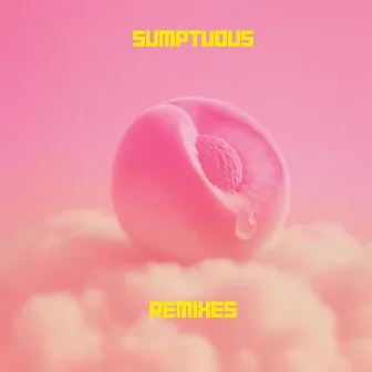 Sumptuous Remixes by Futuresexuals