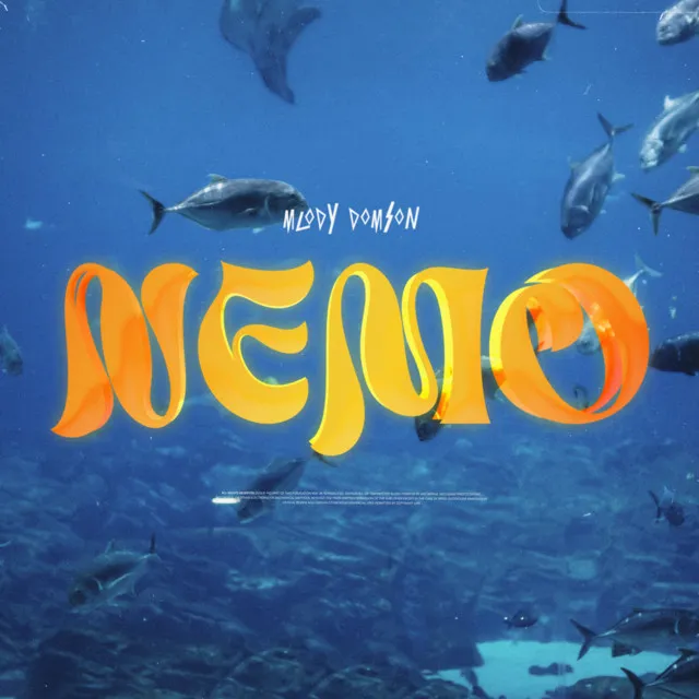 NEMO