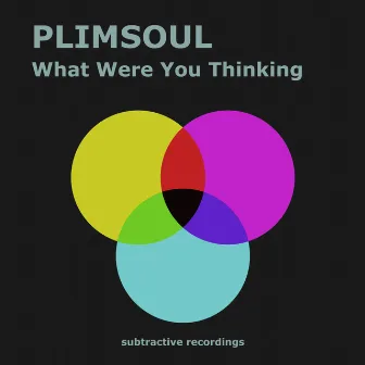 What Were You Thinking by Plimsoul