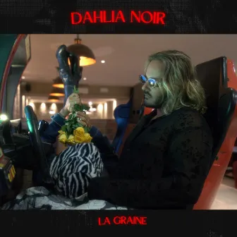 DAHLIA NOIR by La Graine