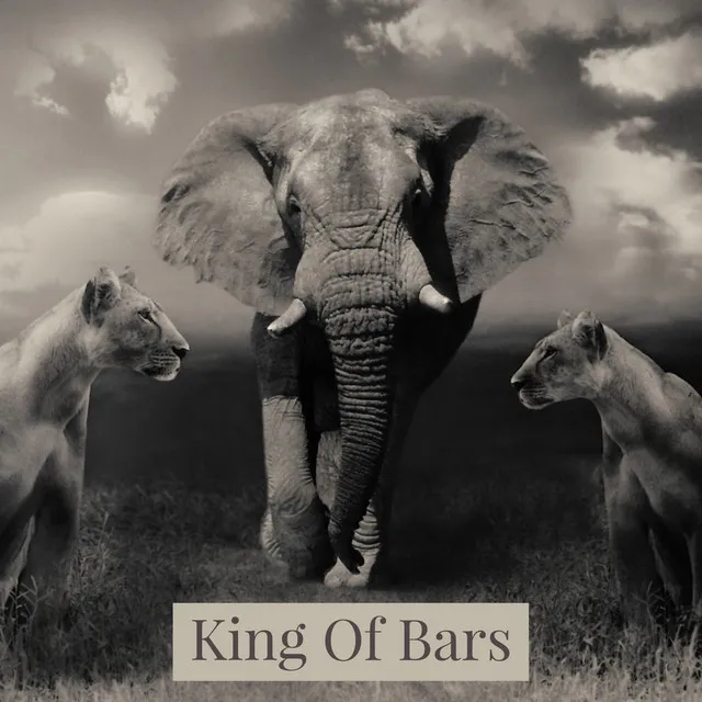 King Of Bars