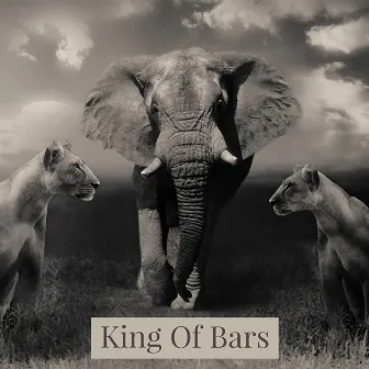 King Of Bars by Leal mf