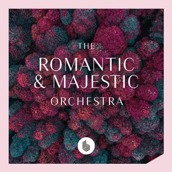 The Romantic and Majestic Orchestra by Matteo Locasciulli