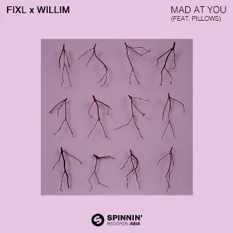 Mad At You (feat. Pillows) by Willim