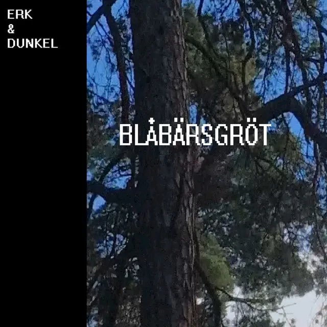 Blåbärsgröt