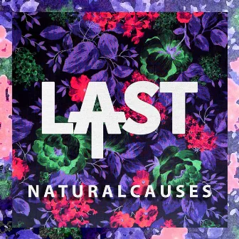 Natural Causes by At Last