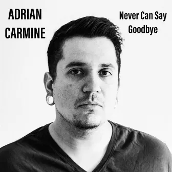 Never Can Say Goodbye by Adrian Carmine