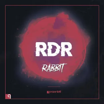 Rabbit by RDR