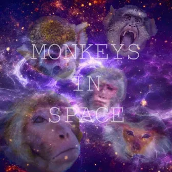 Monkeys in Space by Monkey Bomb