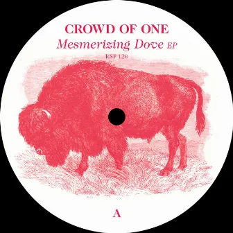 Mesmerizing Dove EP by Crowd of One