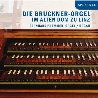 Horn & Frieberger: Die Bruckner-Orgel im Alten Dom zu Linz by Bernhard Prammer