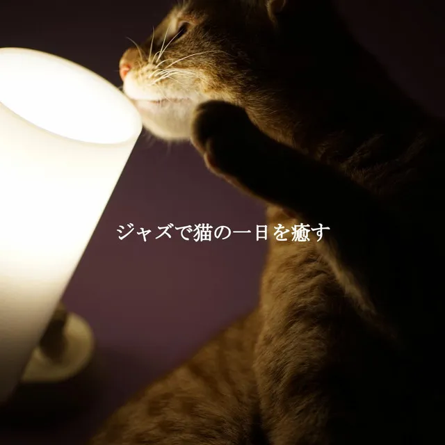 ジャズで猫の一日を癒す