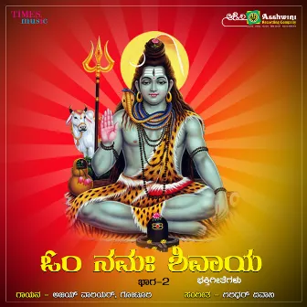 Om Namha Shivaya, Vol. 2 by Goturi