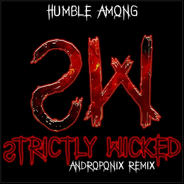 Strictly Wicked (Androponix Remix)