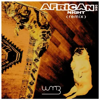 African Night (Remix) by DBK