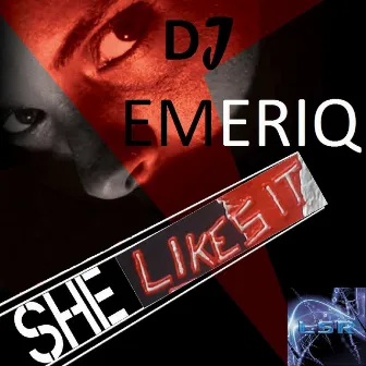 She Likes It by Dj Emeriq