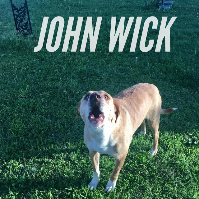 John Wick