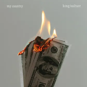 My Country by King Vulture