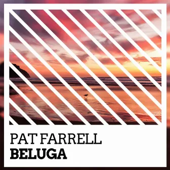 Beluga by Pat Farrell