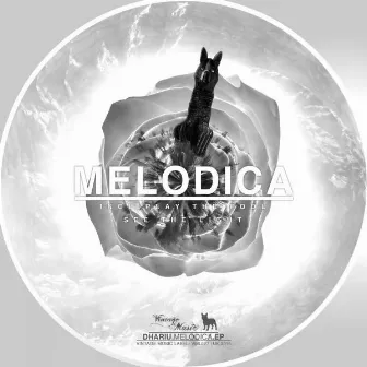 Melodica by Unknown Artist