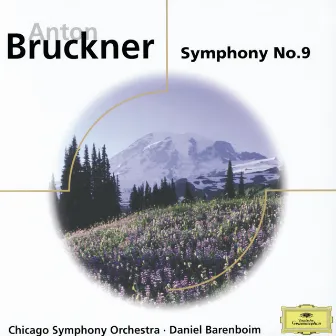 Bruckner: Symphony No. 9; Psalm 150 by Ruth Welting