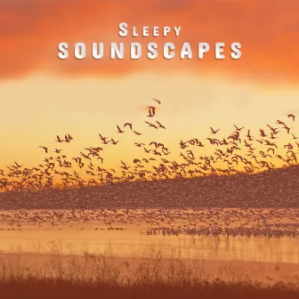 Sleepy Soundscapes: Hypnotic Melodies for Sleep Deprivation by Deep Sleep Music Society