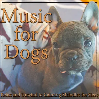 Music for Dogs: Relax and Unwind to Calming Melodies for Sleep by Dog Relaxing Zone