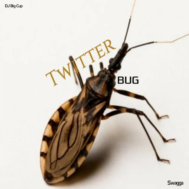 Twitter Bug