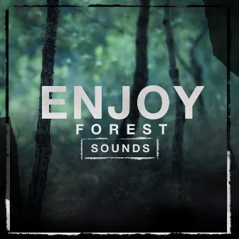 Enjoy Forest Sounds by Forest Sounds